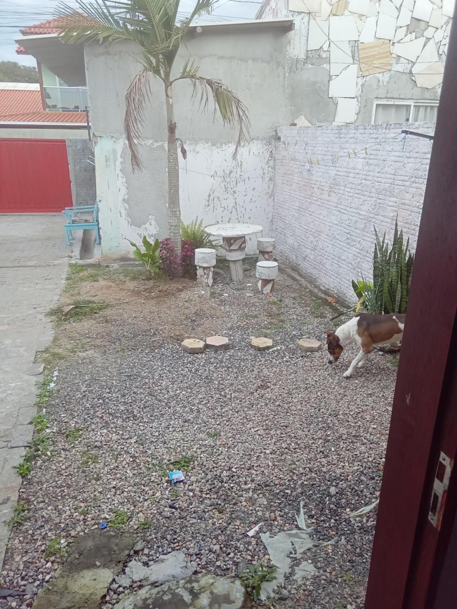 Kitinete Rio Vermelho Florianópolis المظهر الخارجي الصورة